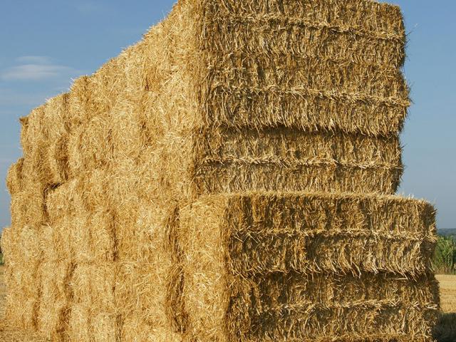 Travaux agricoles Vidal