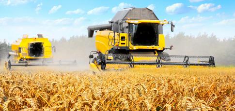 Travaux agricoles Vidal
