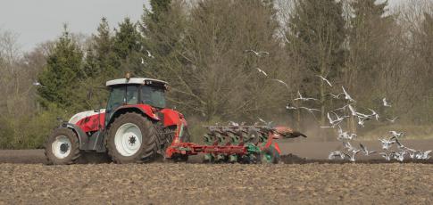 Travaux agricoles Vidal